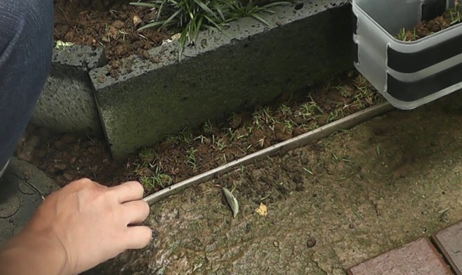 コアリングで取り出した芝生を植える