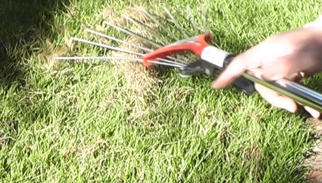 芝生のサッチングはレーキで枯れ芝を掻き出します
