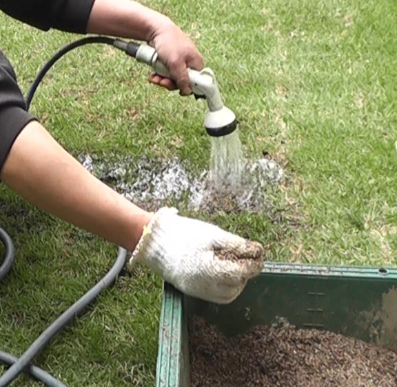 芝生のドリルエアレーションで開けた穴に目土を水で流し込む