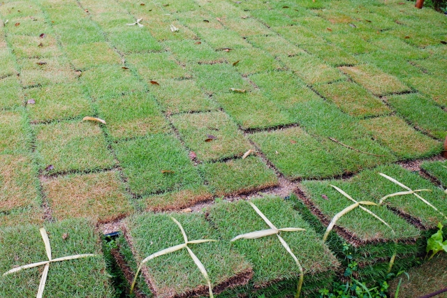 芝生の張り替えは大掛かりな工事となる