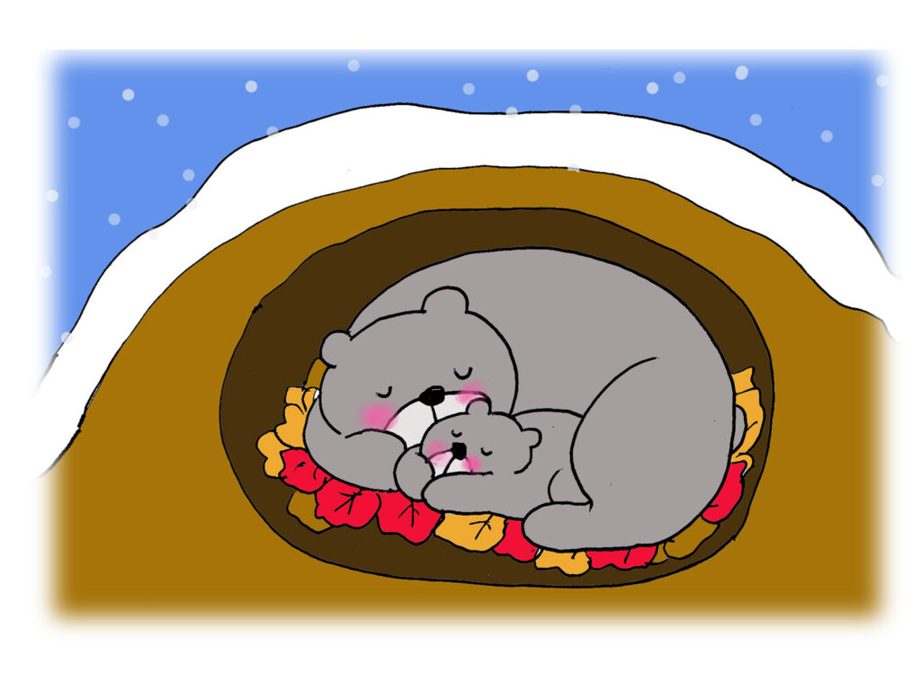 熊は冬眠する真冬の越冬