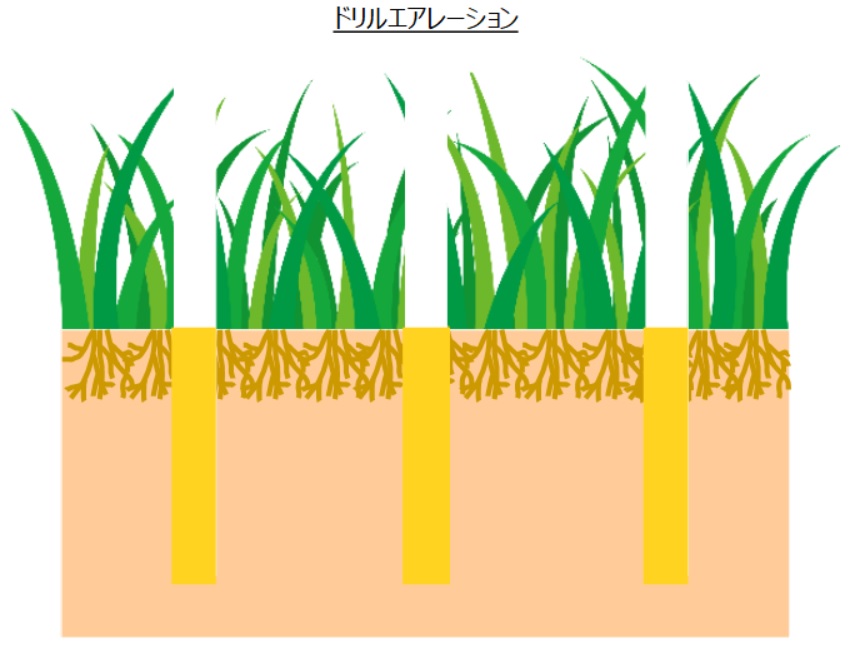 芝生にドリルエアレーションを実施して開けた穴に目土を入れた状態の芝生の断面イメージ図