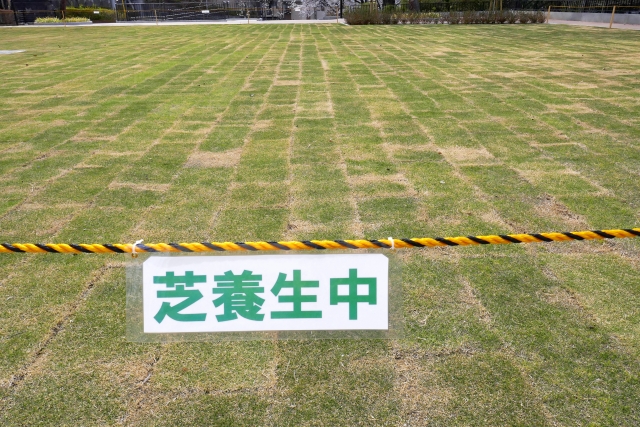 床土の土壌改良に最適な方法は芝生をすべて張り替える前提の床土の入れ替え