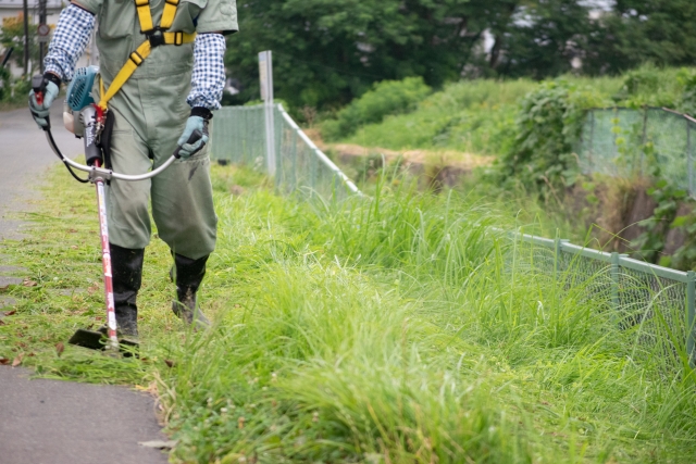 雑草を刈る時にプロの方も活用している芝刈り機