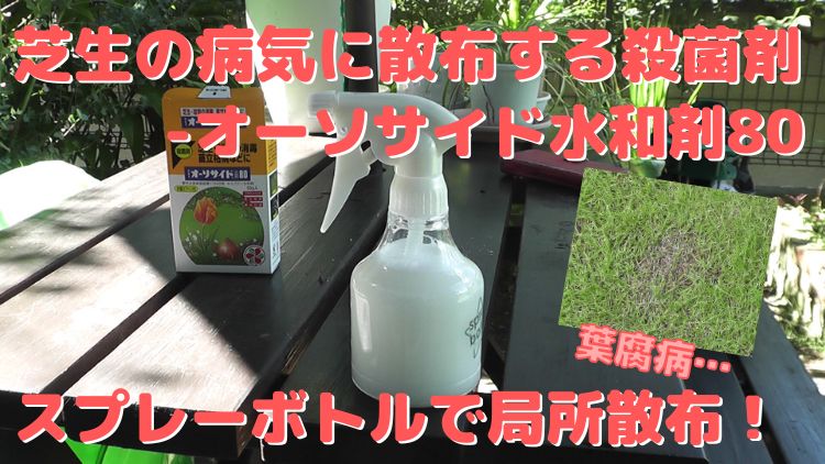 芝生・植物の病害菌対策に有効な殺菌剤－オーソサイド水和剤80