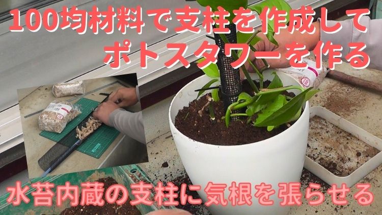 100均の商品で水苔を内蔵した支柱を自作してポトスタワーを作る