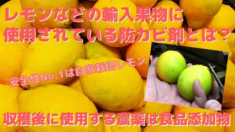 レモンなどの輸入果物の収穫後に使われる防カビ剤は食品添加物になる