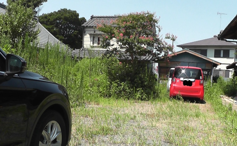 放置していて雑草が背丈を越えた空き家にしている実家の庭