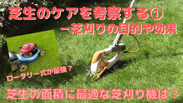 芝生の芝刈りの目的や効果と芝刈り機の種類やおすすめ