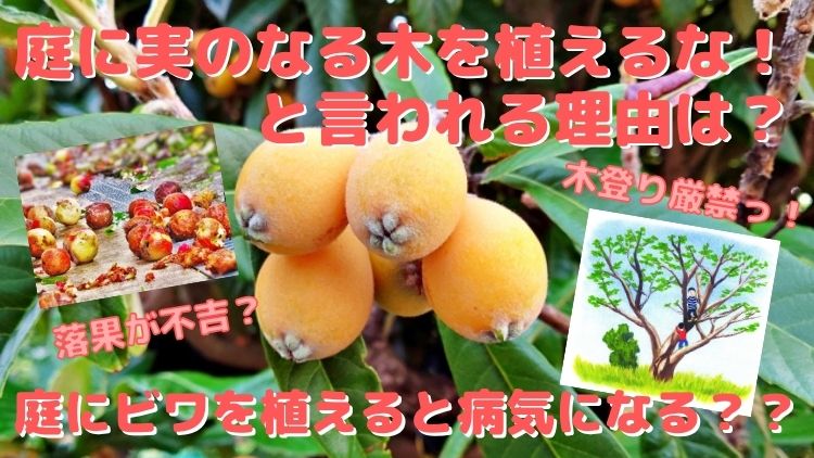 庭に実のなる木を植えるなと言われる理由は？ただの迷信？言い伝え？